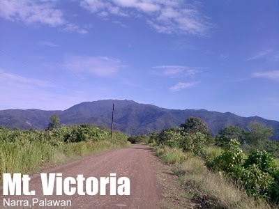 Mount Victoria (1,726) in Narra, Palawan - Pinoy Mountaineer