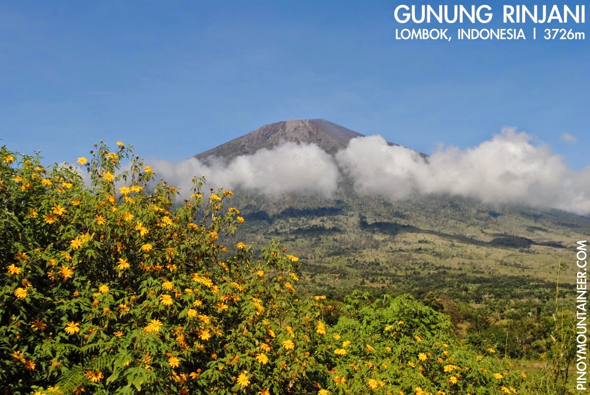 Hiking Matters 401 Mt Rinjani Day 1 From Sembalun Village To