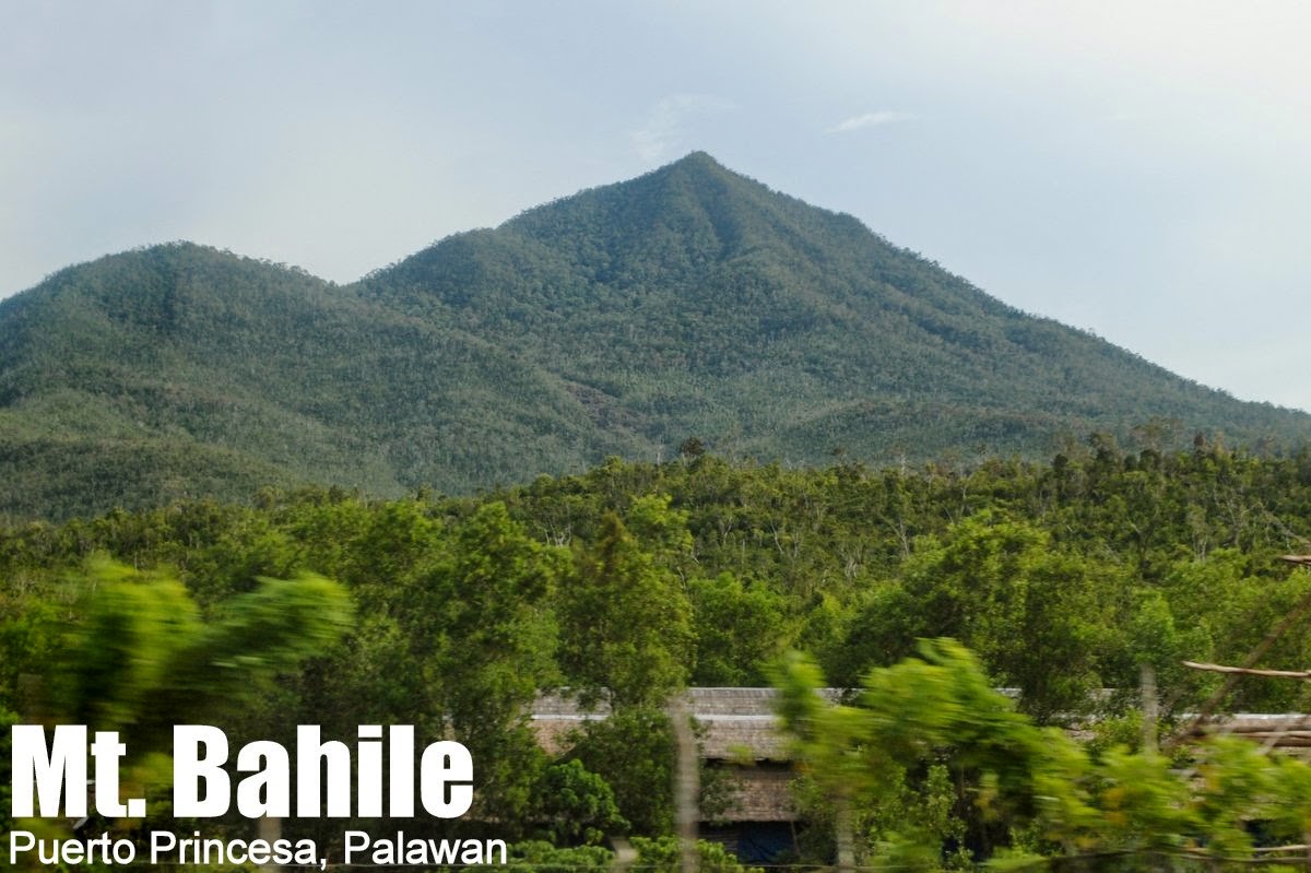 Mt. Bahile (747+) in Puerto Princesa, Palawan Pinoy