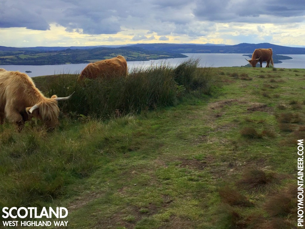 West Highland Way Drymen