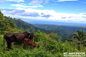 Mt. Manunggal, Cebu