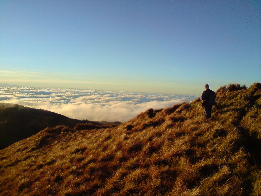 pulag - akiki trail1