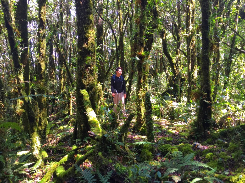 Mt. Busa in Saranggani province