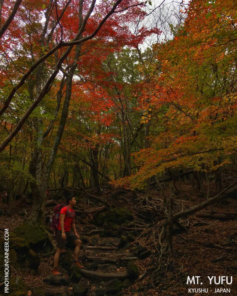 Hiking up Mt. Yufu in Kyushu, Japan