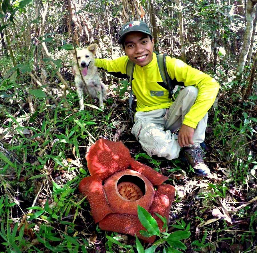 Rafflesia in Mt. Napulak, Philippines