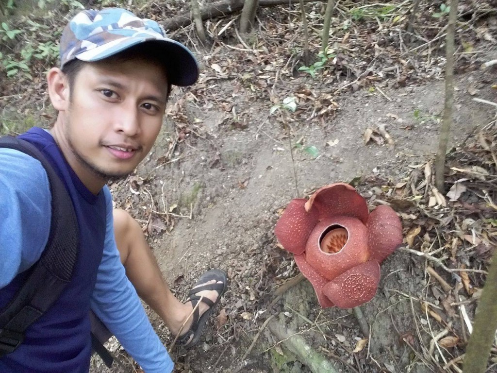 Rafflesia in Mt. Napulak, Philippines