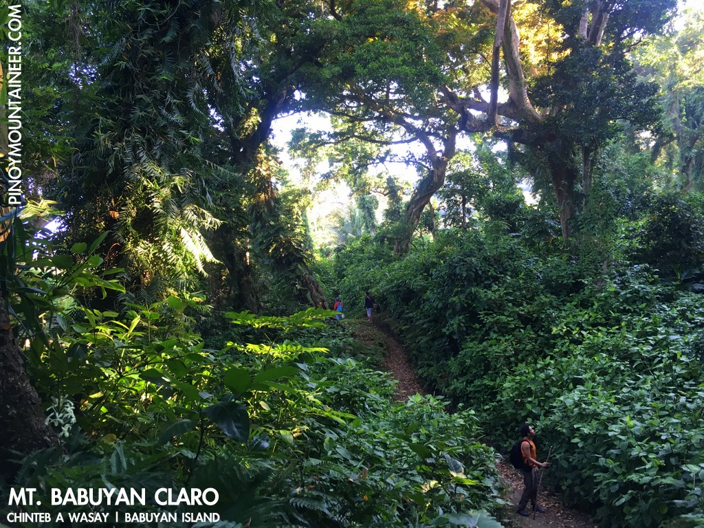 Hiking matters 548 Mt. Babuyan Claro (Chinteb a Wasay) in Babuyan