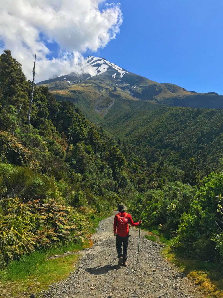 Taranaki6