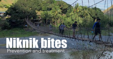 Nick the ‘niknik’: How to prevent and treat gnat and sandfly bites Nick the ‘niknik’: How to prevent and treat gnat and sandfly bites