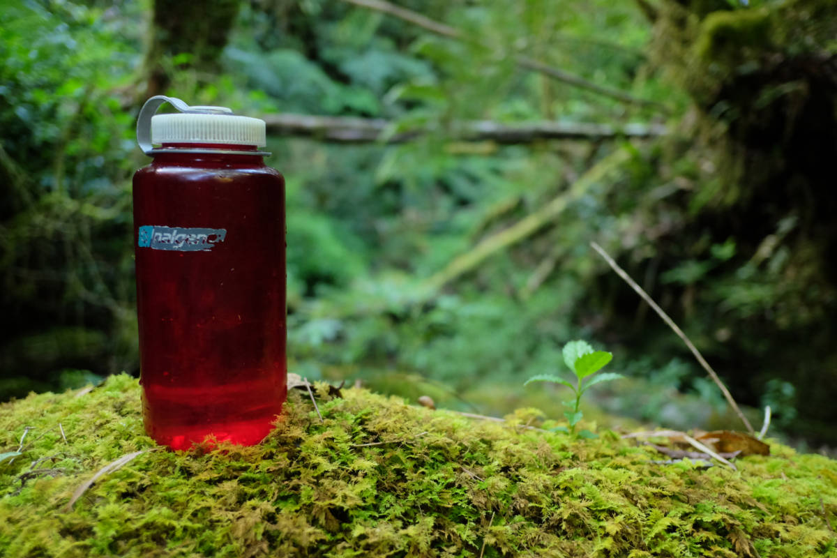 3 Activities You Can Do With Your Water Bottles While Hiking