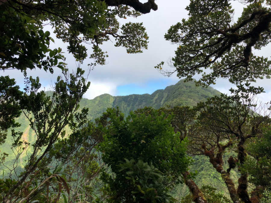 Banahaw de Tayabas 1