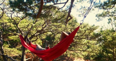 A beginner’s guide to hammock camping