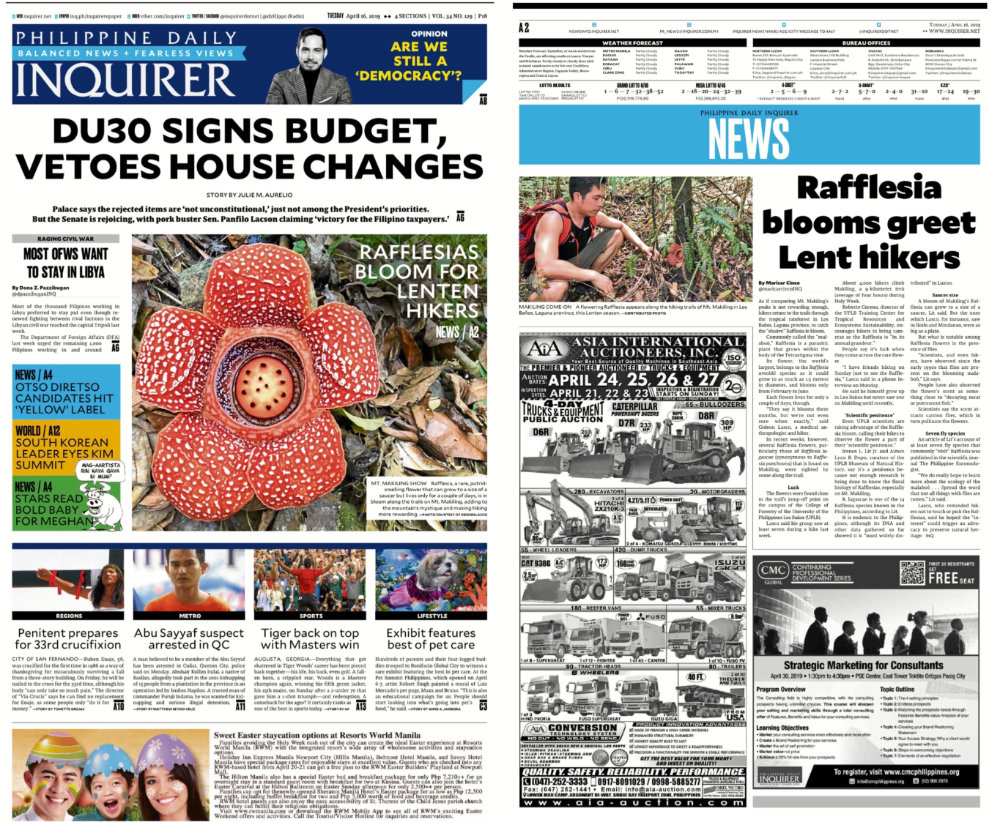 rafflesia inquirer