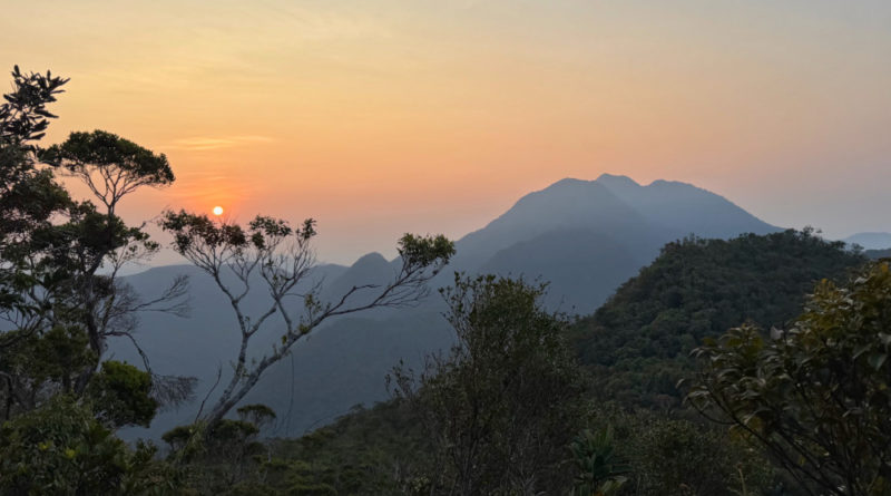 Hiking matters #864: Mt. Dos Cuernos in Isabela, Days 3-4: The ascent to the North Summit (Roy’s Peak)